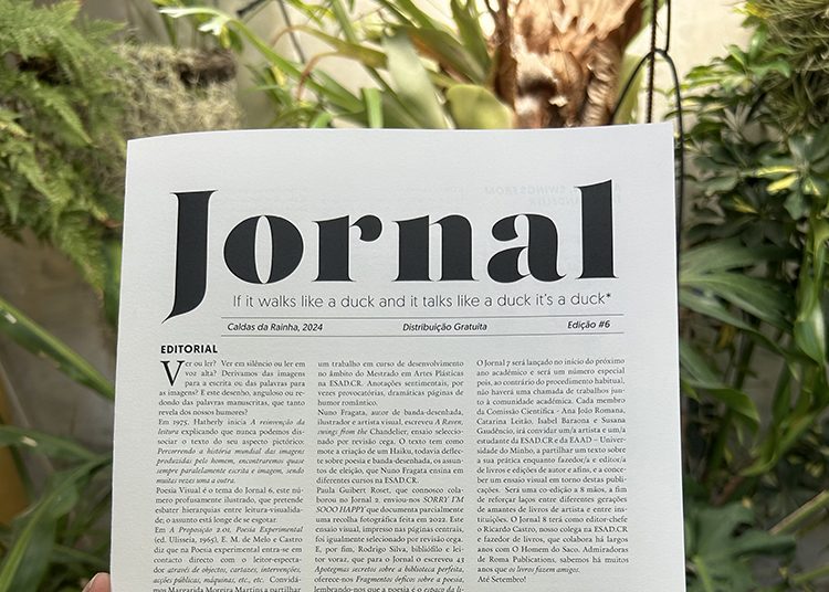 Jornal 6